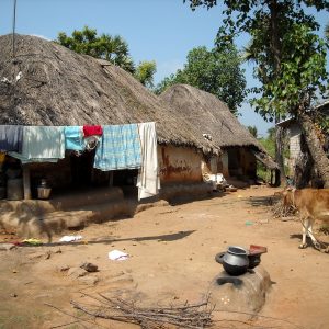 Regional Disparities in India since Independence
